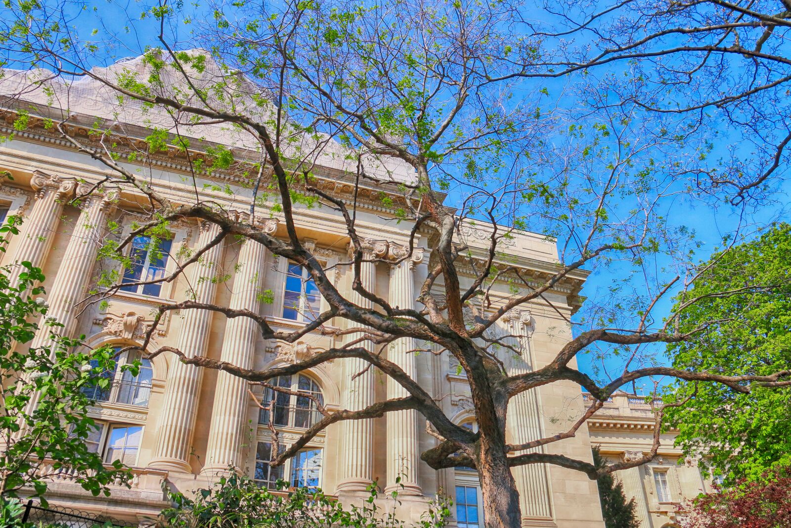 Canon EOS 70D sample photo. Paris, architecture, park photography