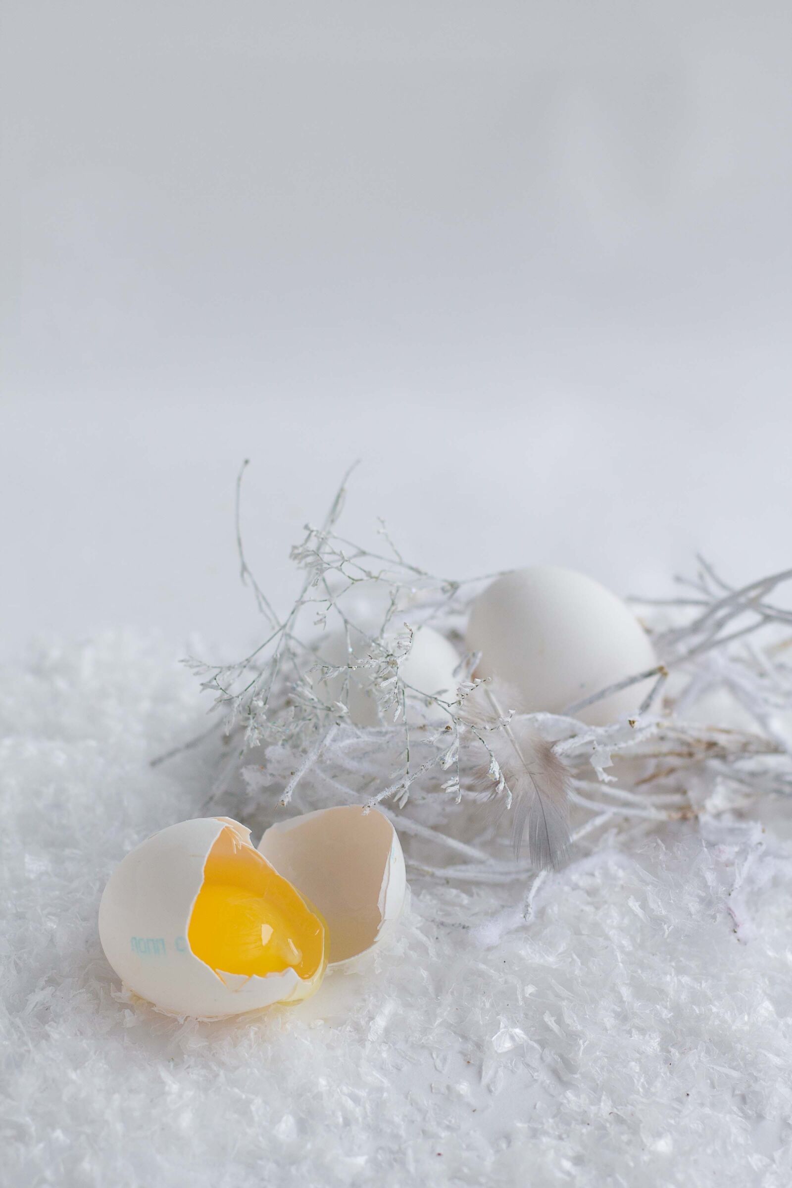 Canon EOS 1100D (EOS Rebel T3 / EOS Kiss X50) + Canon EF 50mm F1.8 II sample photo. Egg, white, easter photography