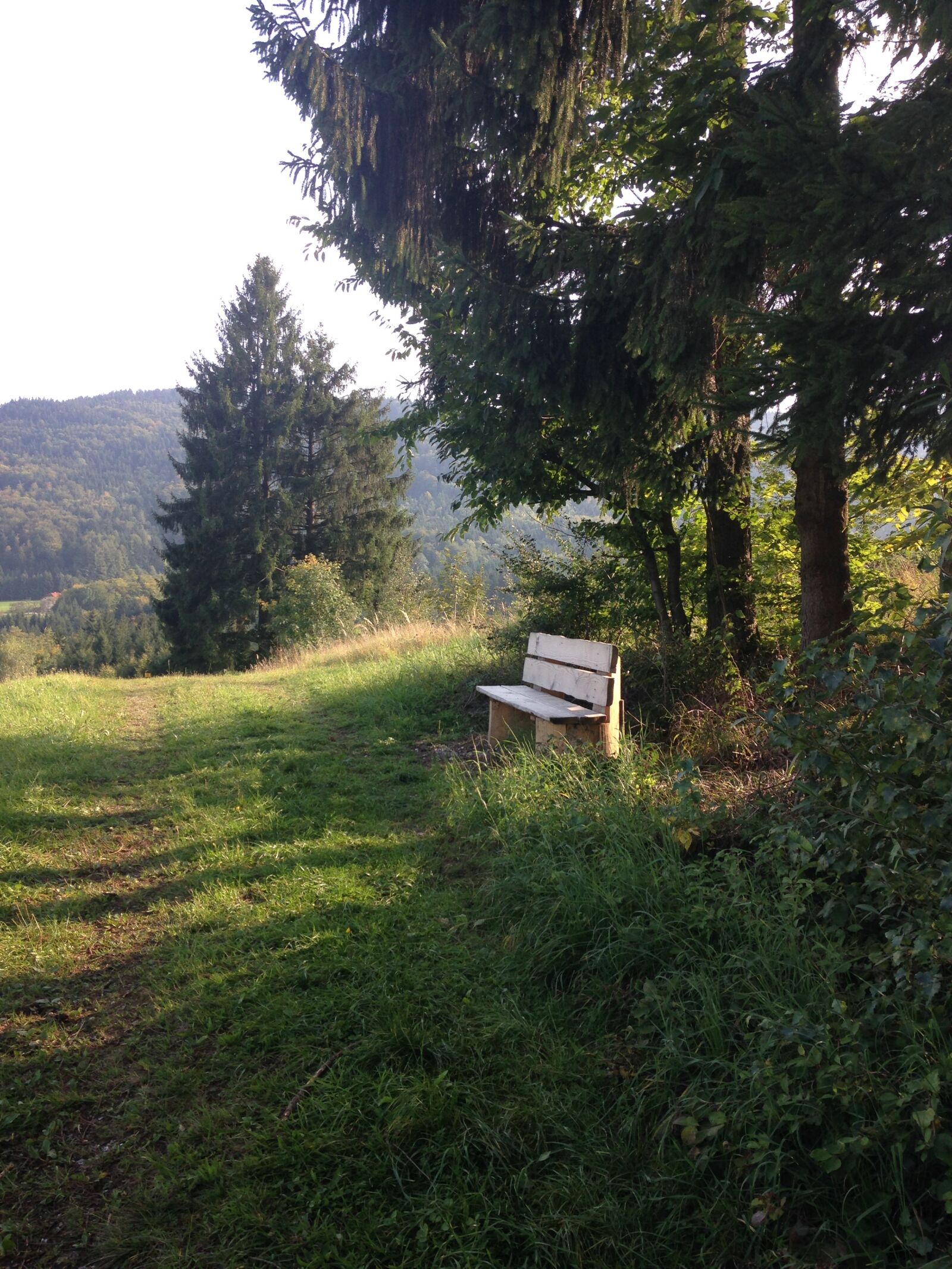 iPhone 5c back camera 4.12mm f/2.4 sample photo. Bank, forest, nature photography