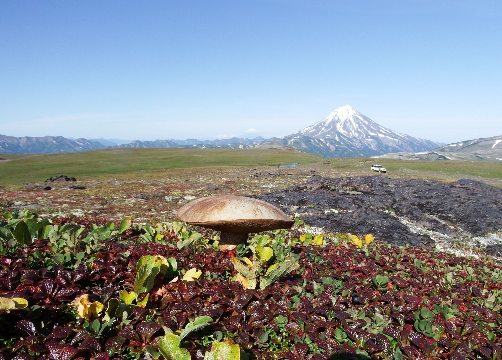 Fujifilm FinePix S1 sample photo. Mountain tundra, mushrooms, autumn photography