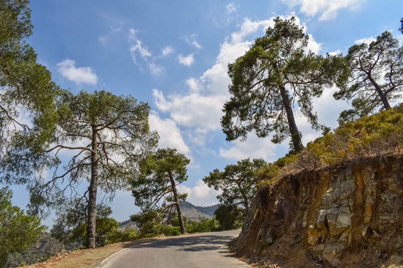 Nikon D3300 sample photo. Road, trees, sky photography