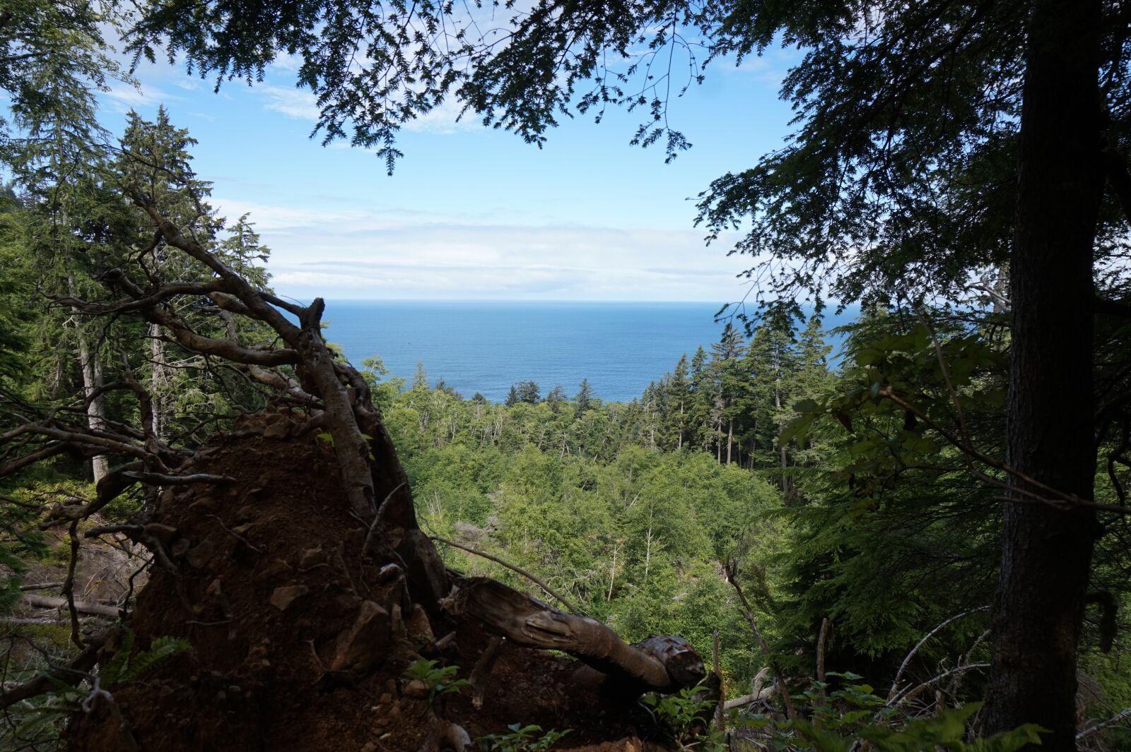 Sony Alpha a5000 (ILCE 5000) sample photo. Scenic, ocean, trail photography