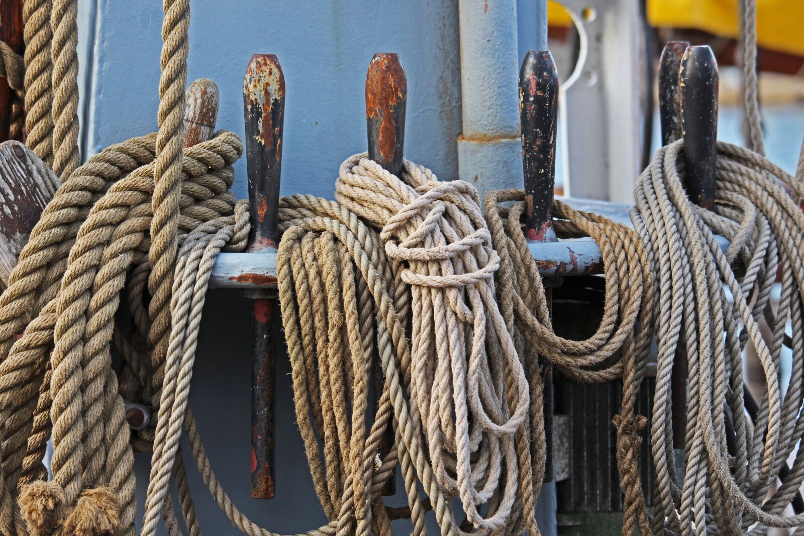Canon EF-S 55-250mm F4-5.6 IS STM sample photo. Thaw, ropes, knot photography