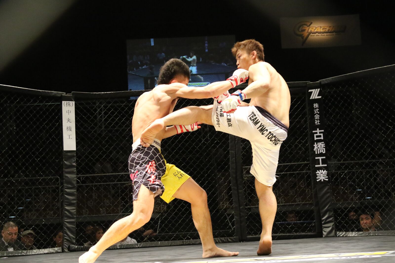 Canon EOS 7D Mark II sample photo. Mma, fight, maza photography
