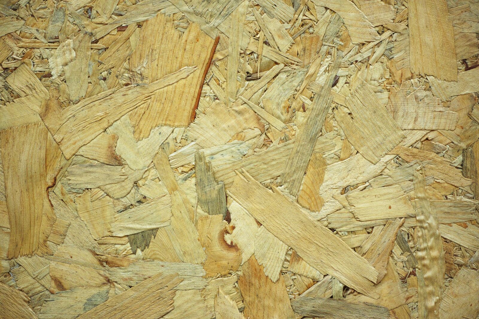 Sigma DP3 Merrill sample photo. Wood, timber, pres photography