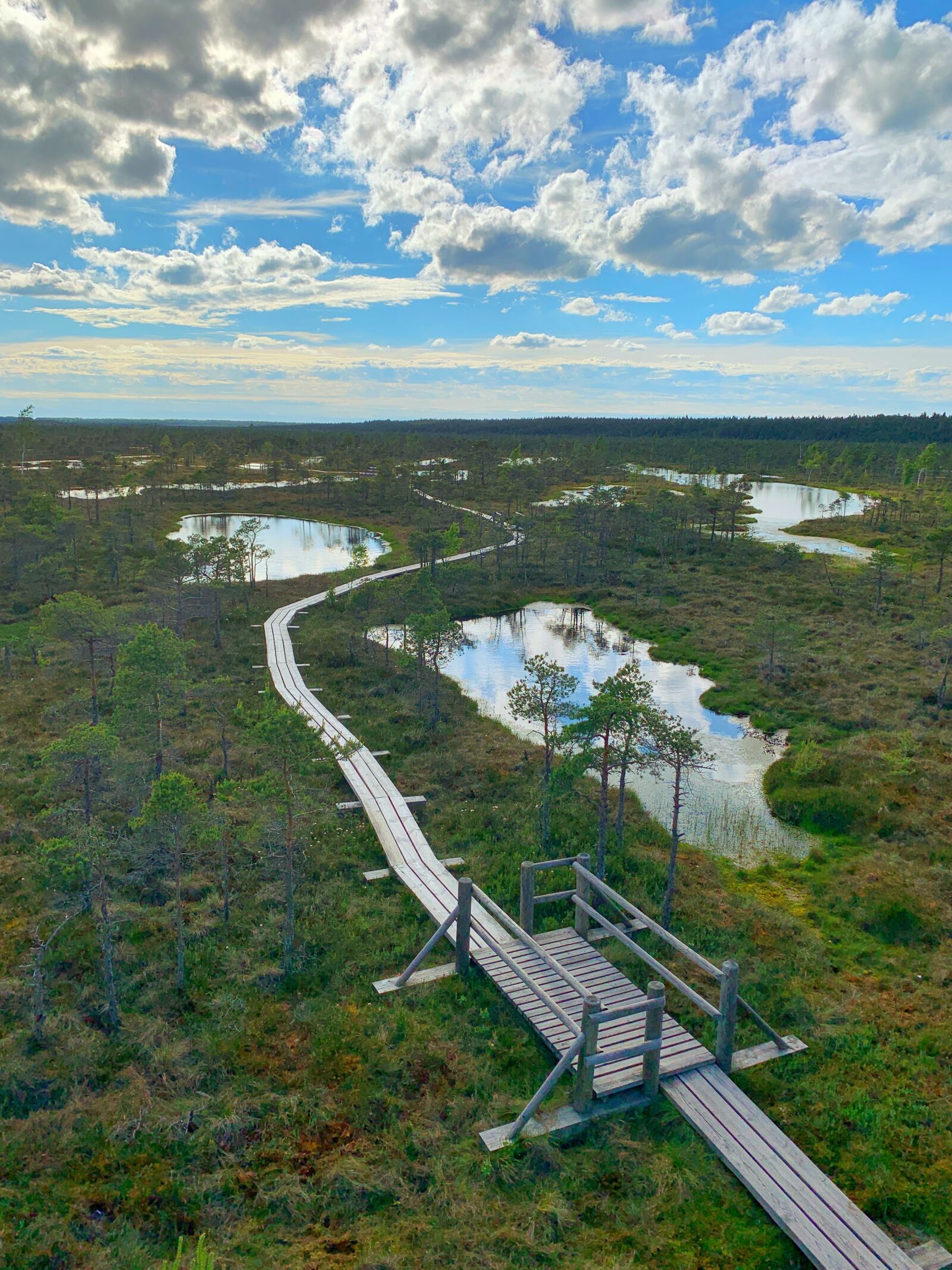 Apple iPhone XR sample photo. Swamp, pond, raised photography