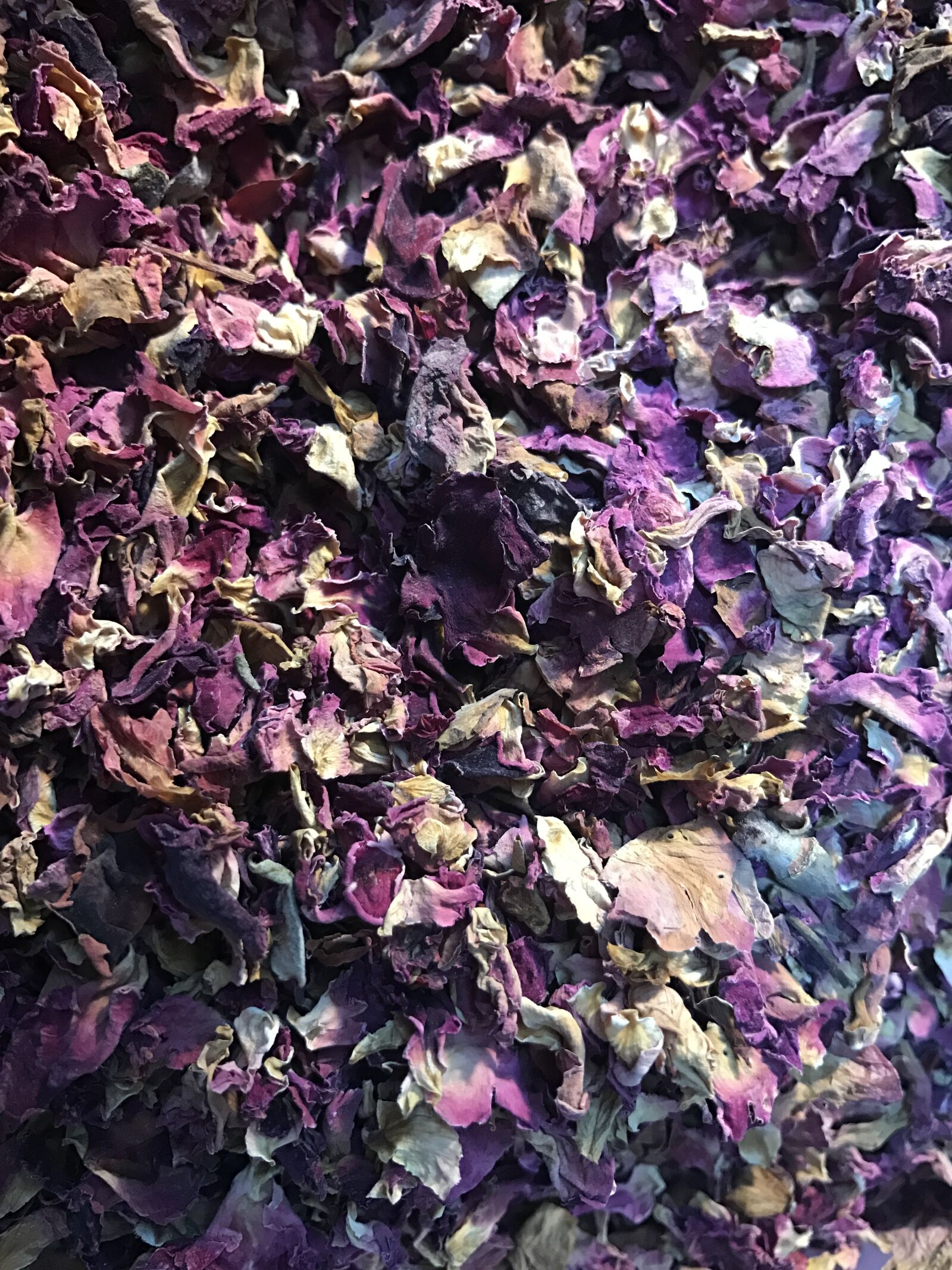 Apple iPhone 7 sample photo. Confetti, rose, petals, wedding photography