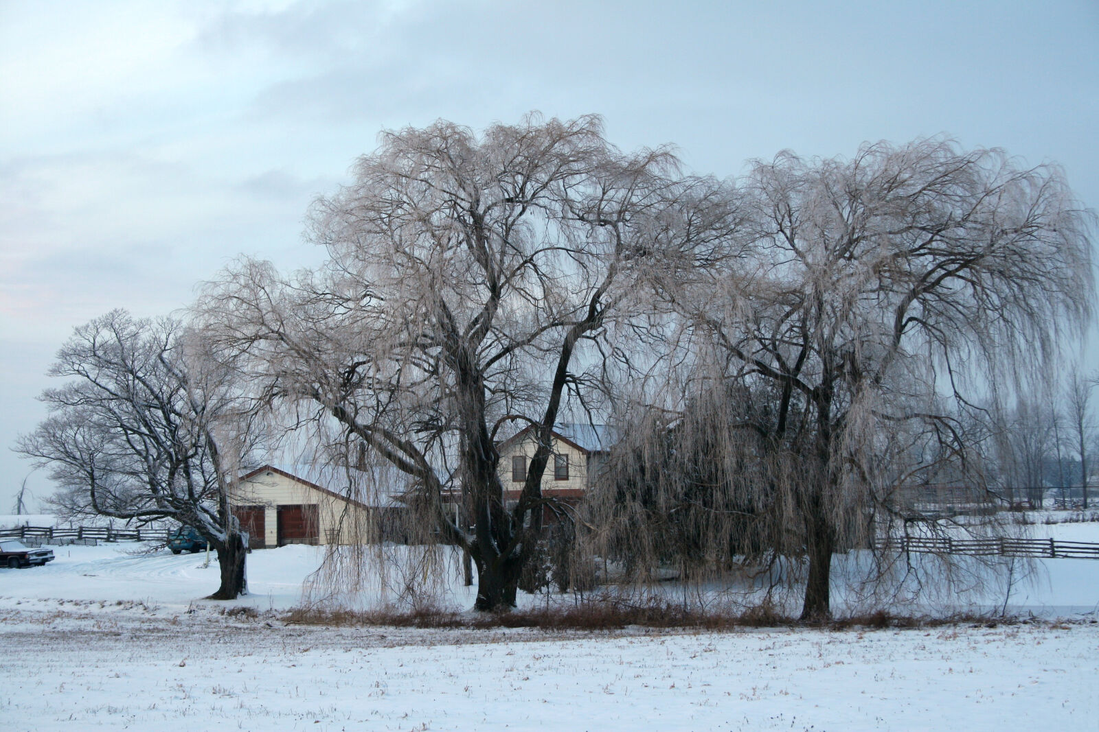 Canon EOS 20D sample photo