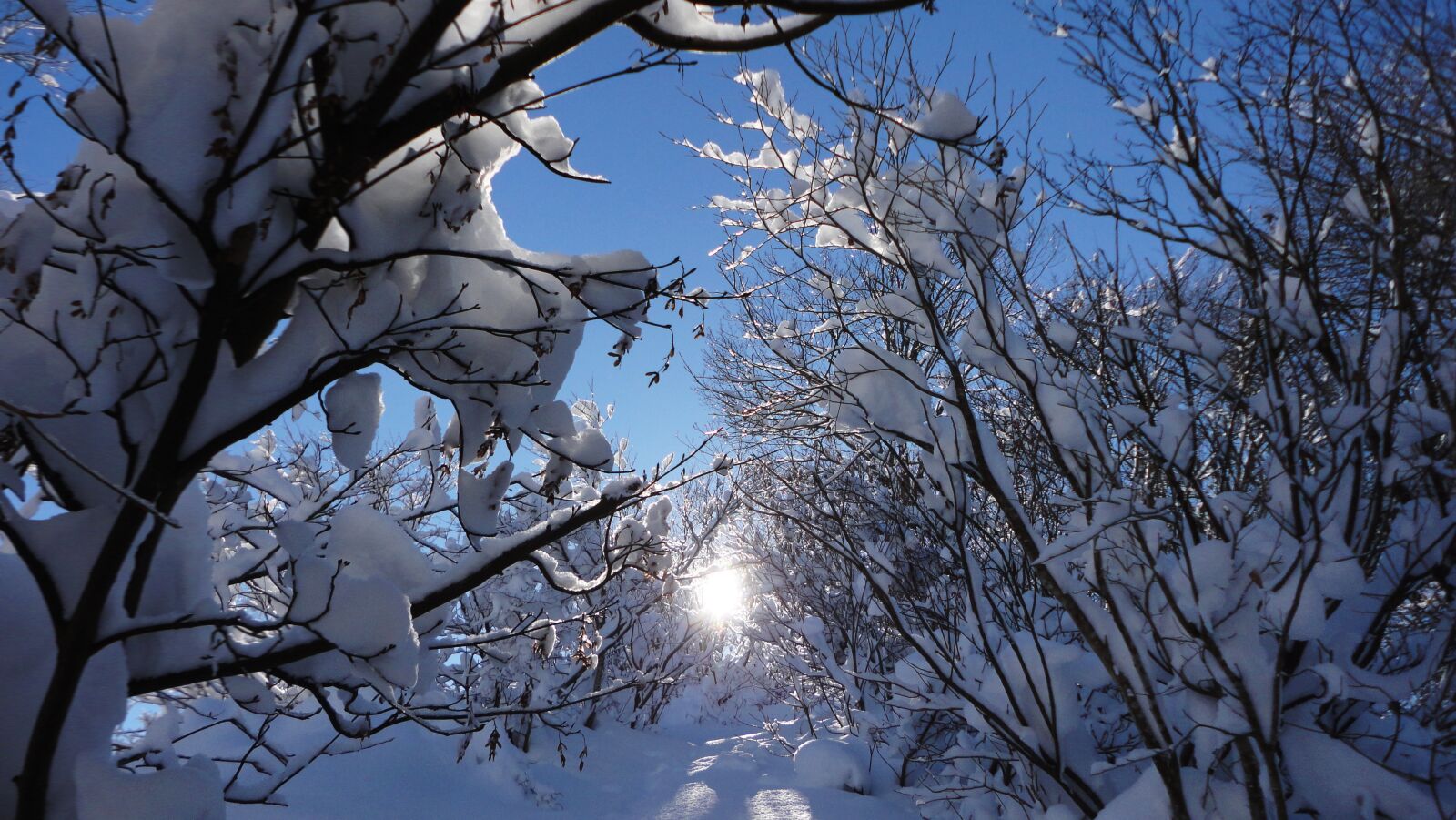 Sony Cyber-shot DSC-W350 sample photo. Sun, snow, sunbeams photography
