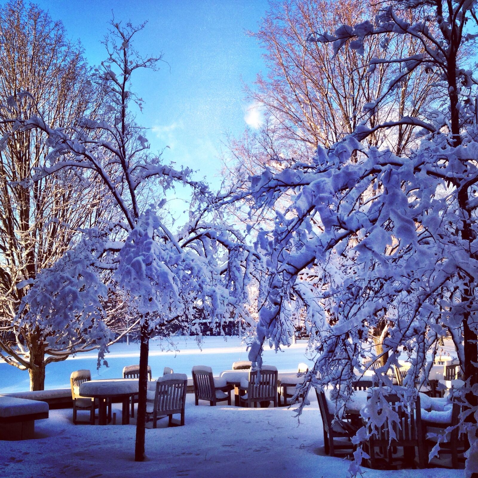 Apple iPhone 5 sample photo. Winter, landscape, winter landscape photography