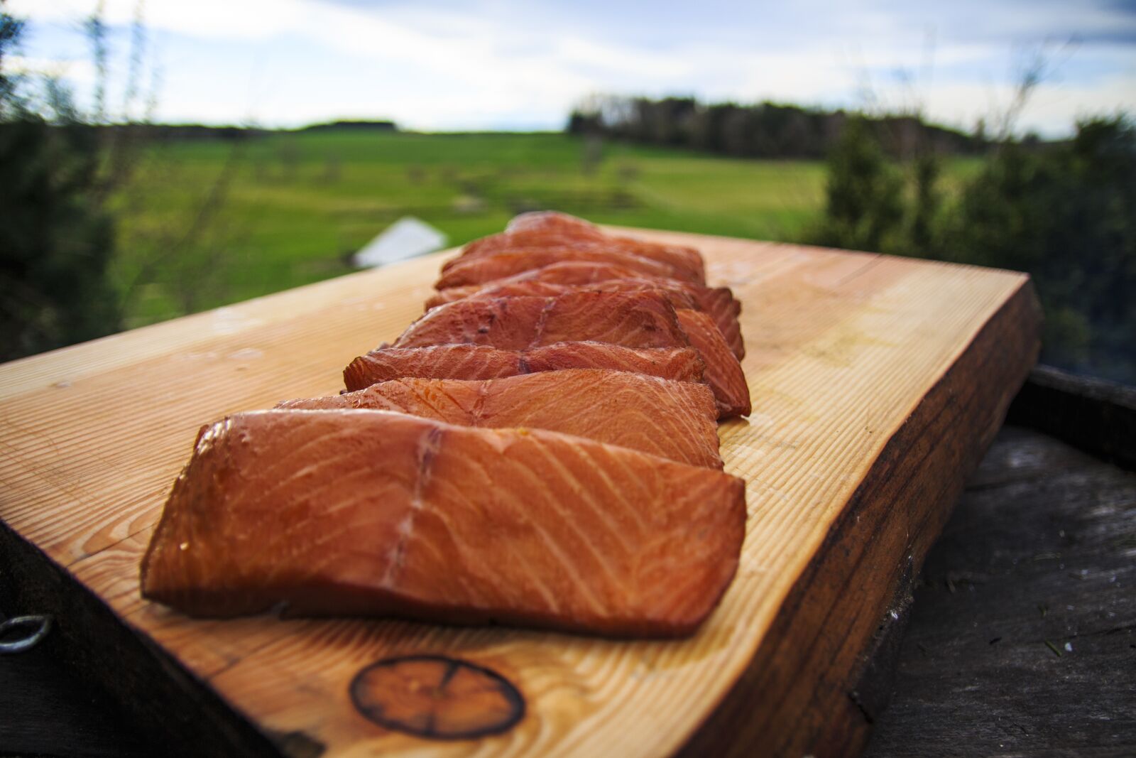 Canon EOS 650D (EOS Rebel T4i / EOS Kiss X6i) sample photo. Smoked salmon, smoker, nature photography