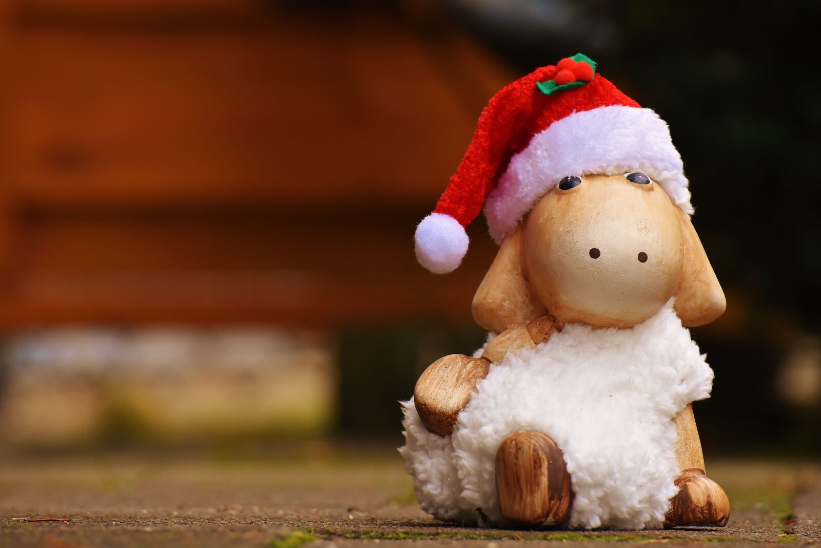 Nikon D7200 sample photo. Christmas, sheep, deco photography