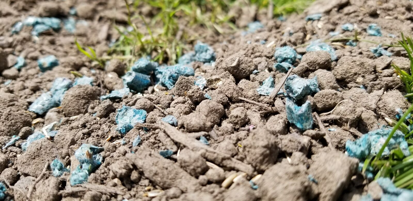 Samsung Galaxy S8 sample photo