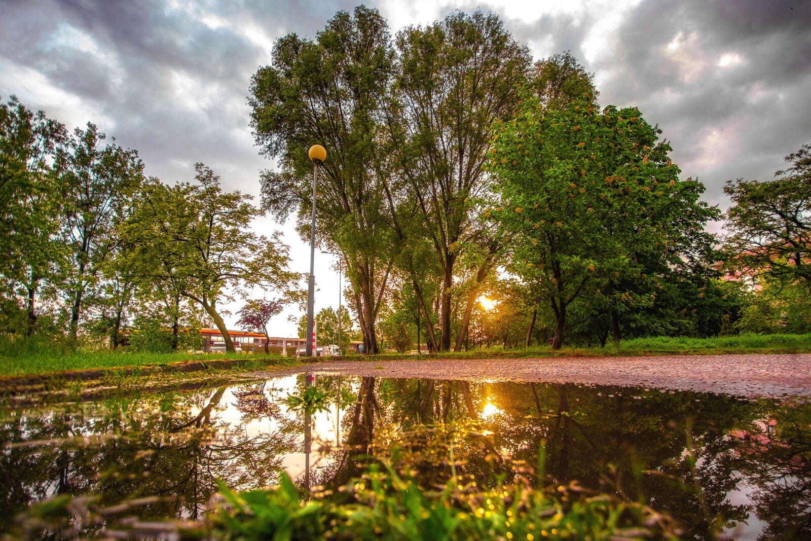 Canon EOS 6D + Canon EF 17-40mm F4L USM sample photo. West, the sun, tree photography