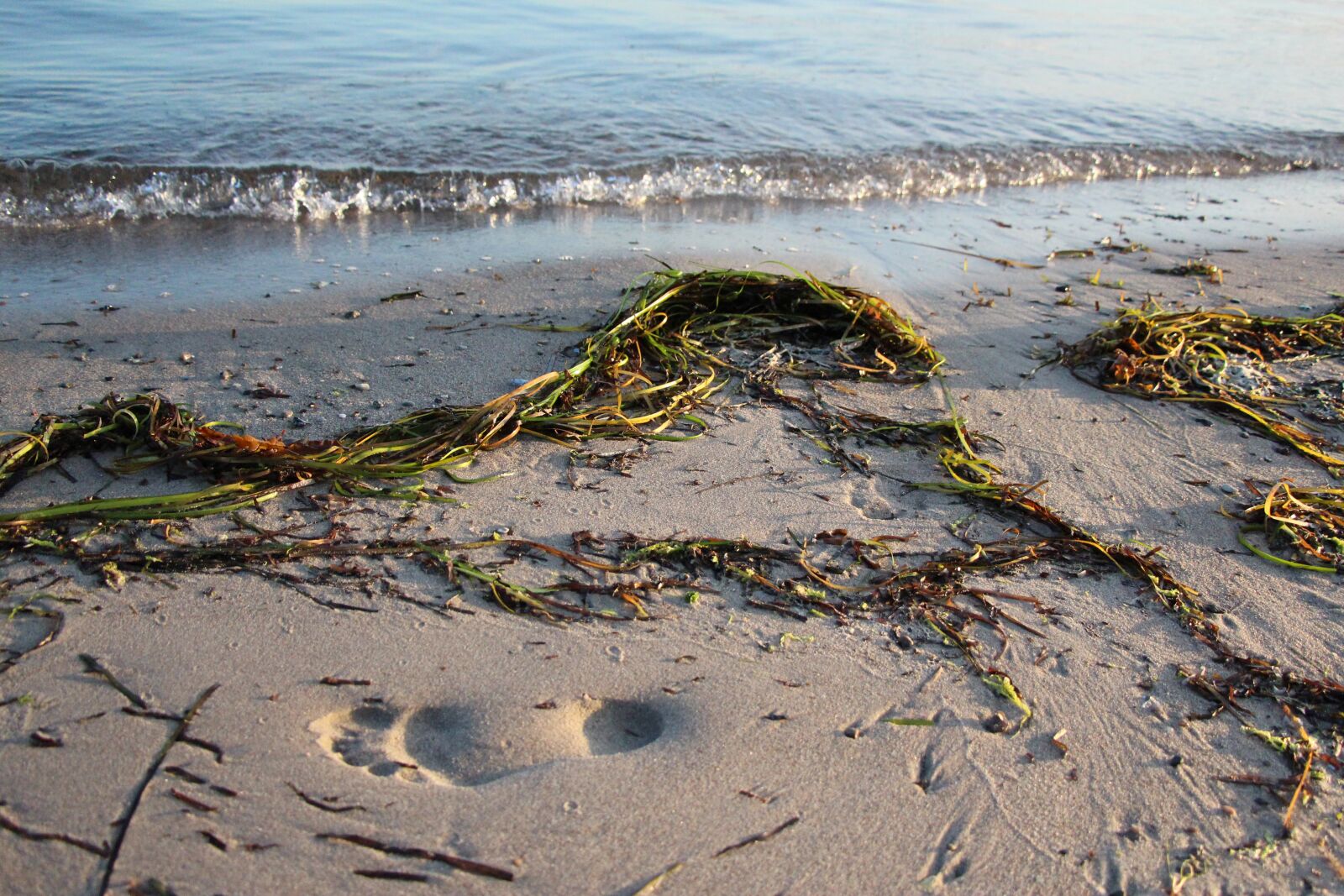 Canon EOS 650D (EOS Rebel T4i / EOS Kiss X6i) sample photo. Water, sea, by the photography