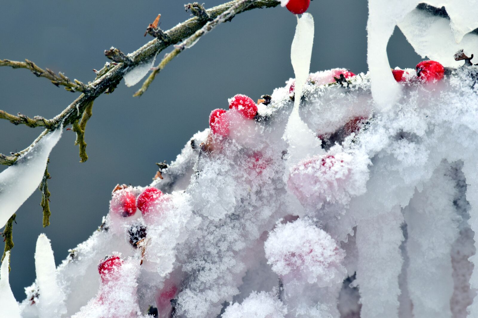 Nikon D3300 sample photo. Winter, frost, snow photography