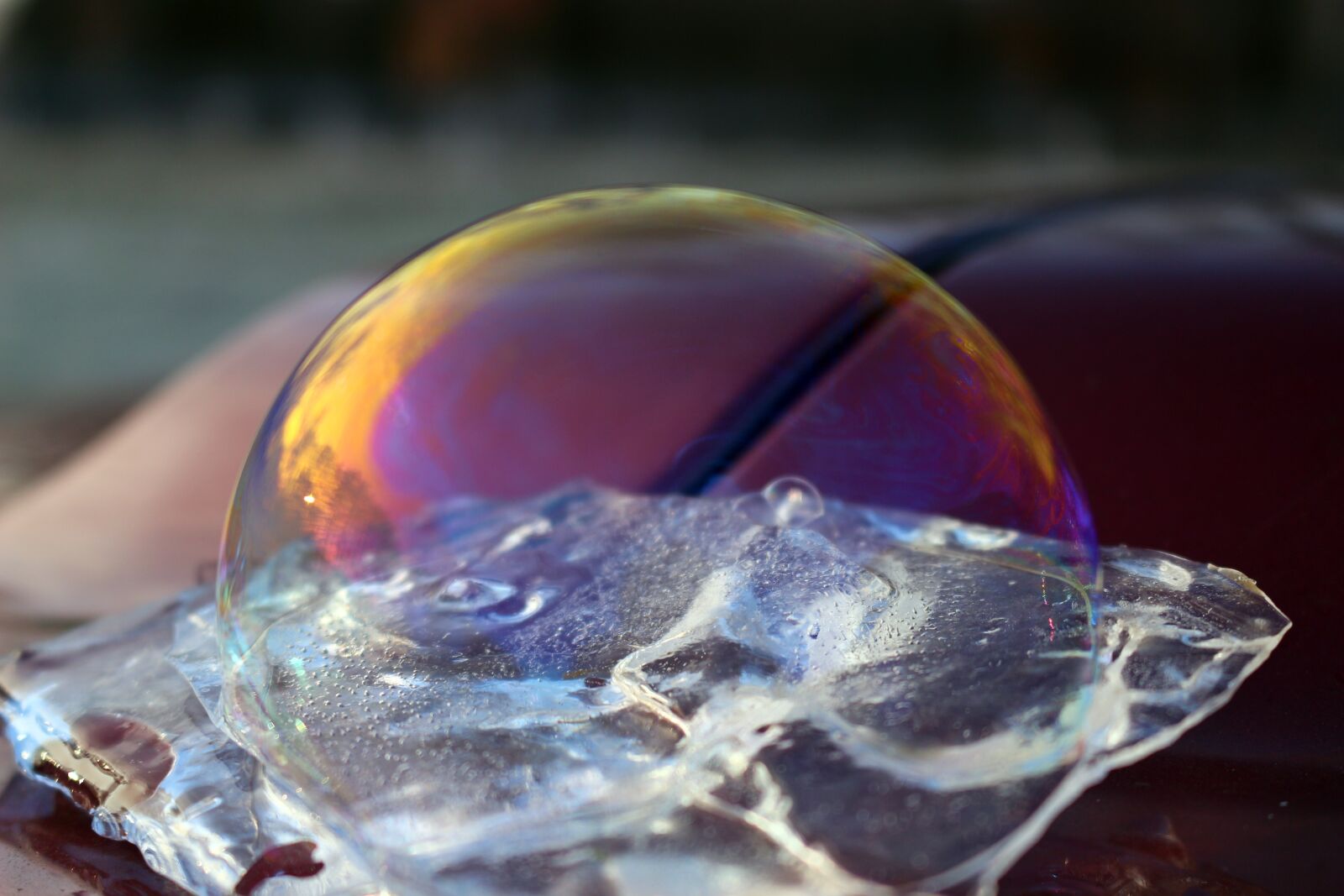 Canon EOS 100D (EOS Rebel SL1 / EOS Kiss X7) sample photo. Bubble, ice, soap bubble photography