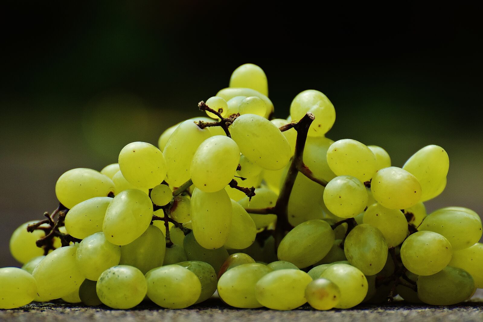 Nikon D7200 sample photo. Grapes, plate, fruit photography