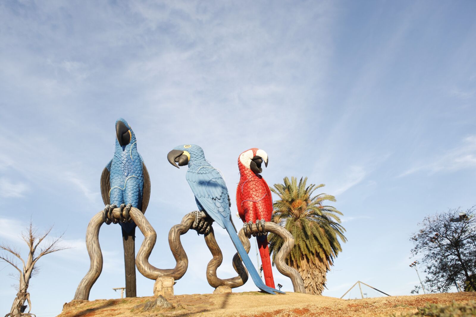 Canon EOS 5D Mark II sample photo. Macaws, campo grande, city photography