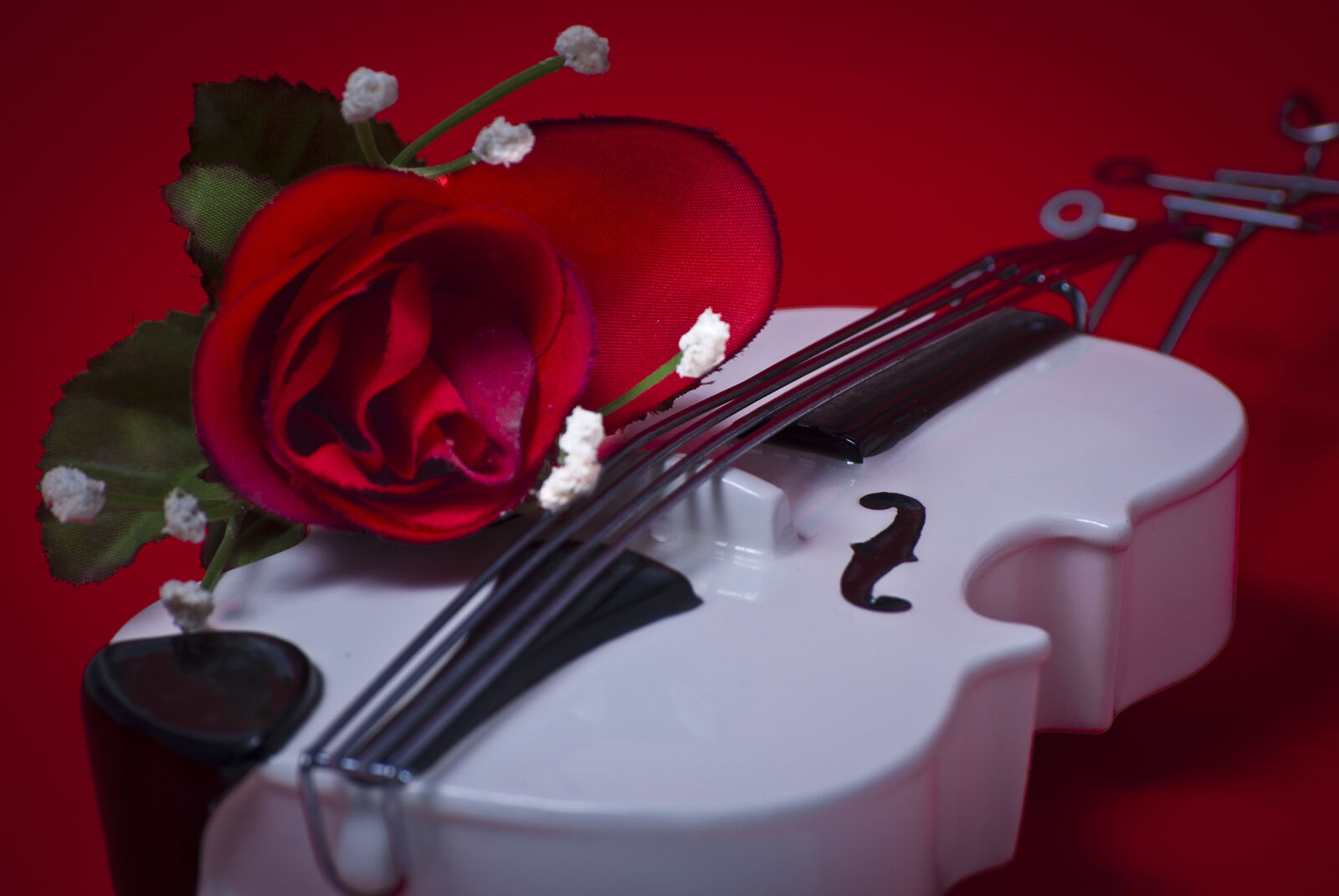 Nikon D200 sample photo. Violin photography