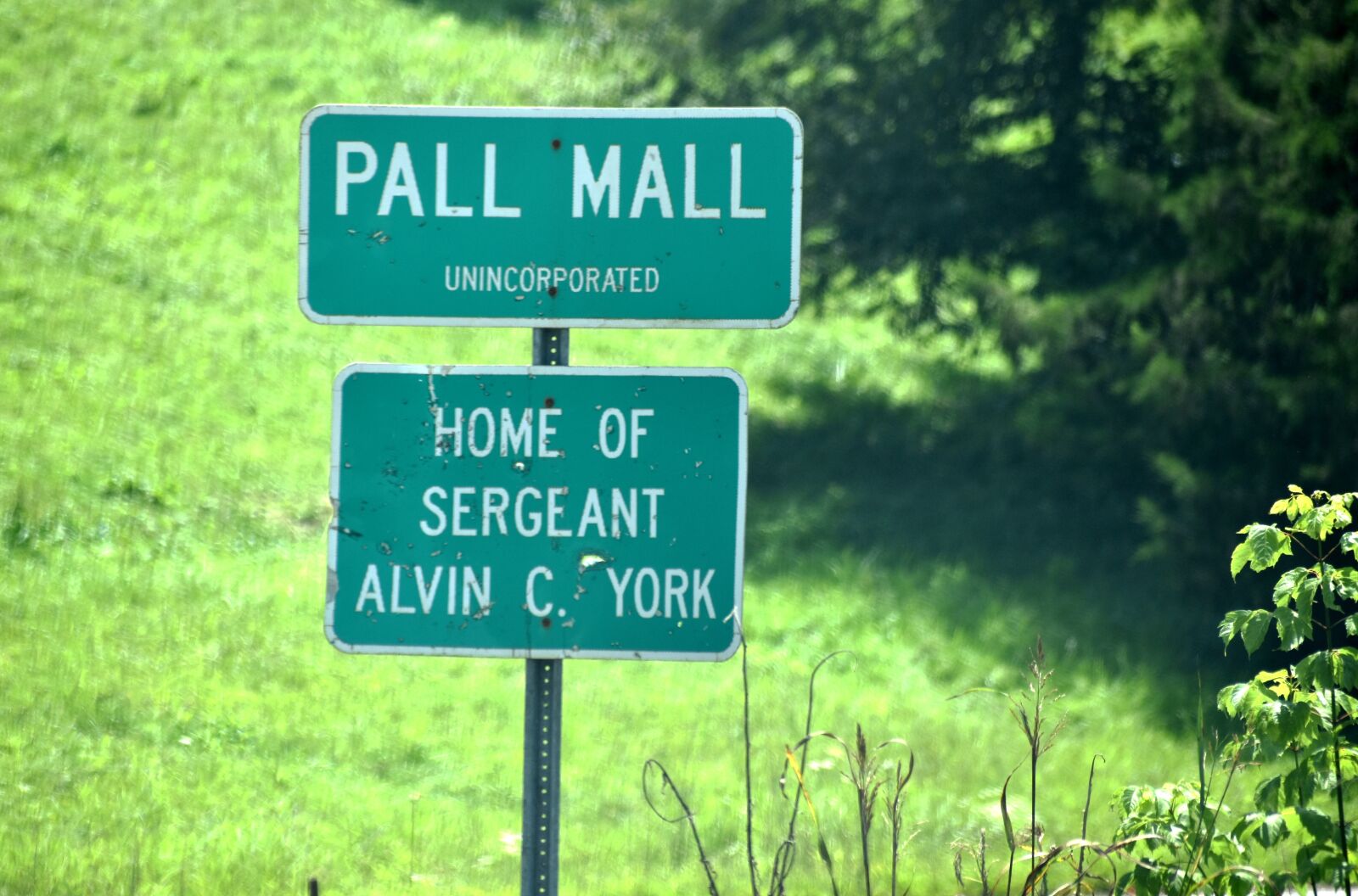 Nikon D5500 sample photo. Pall mall tn sign photography