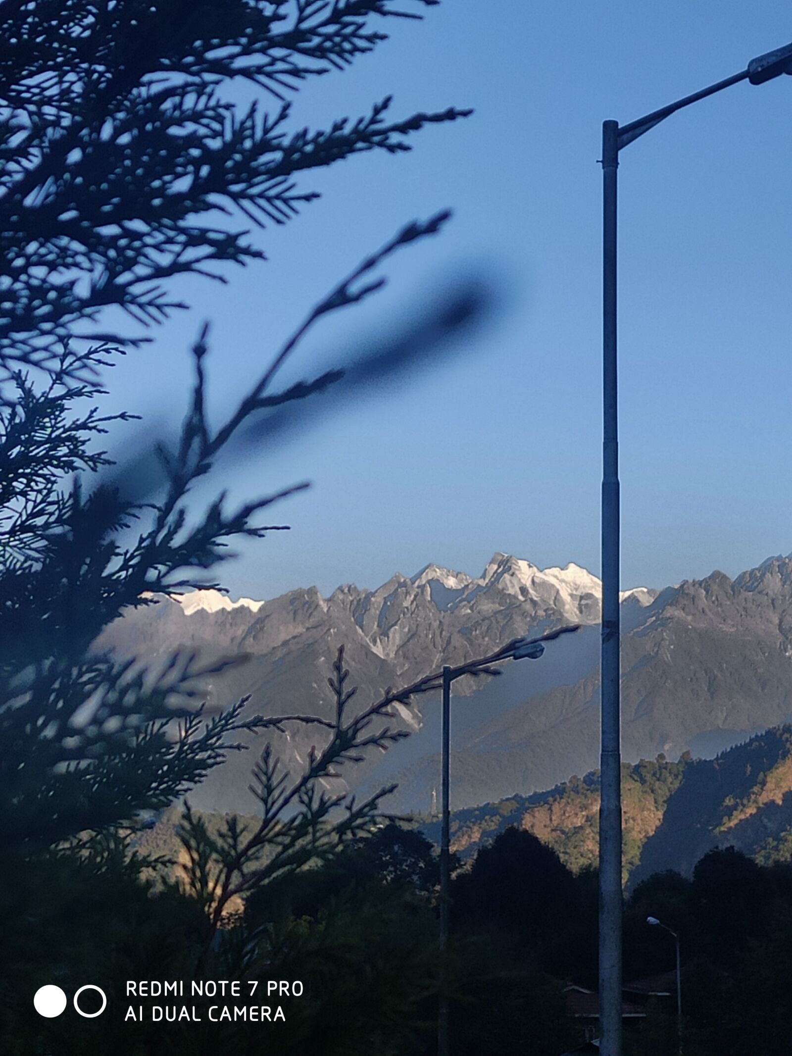 Xiaomi Redmi Note 7 Pro sample photo. Mountain, tree, forest photography