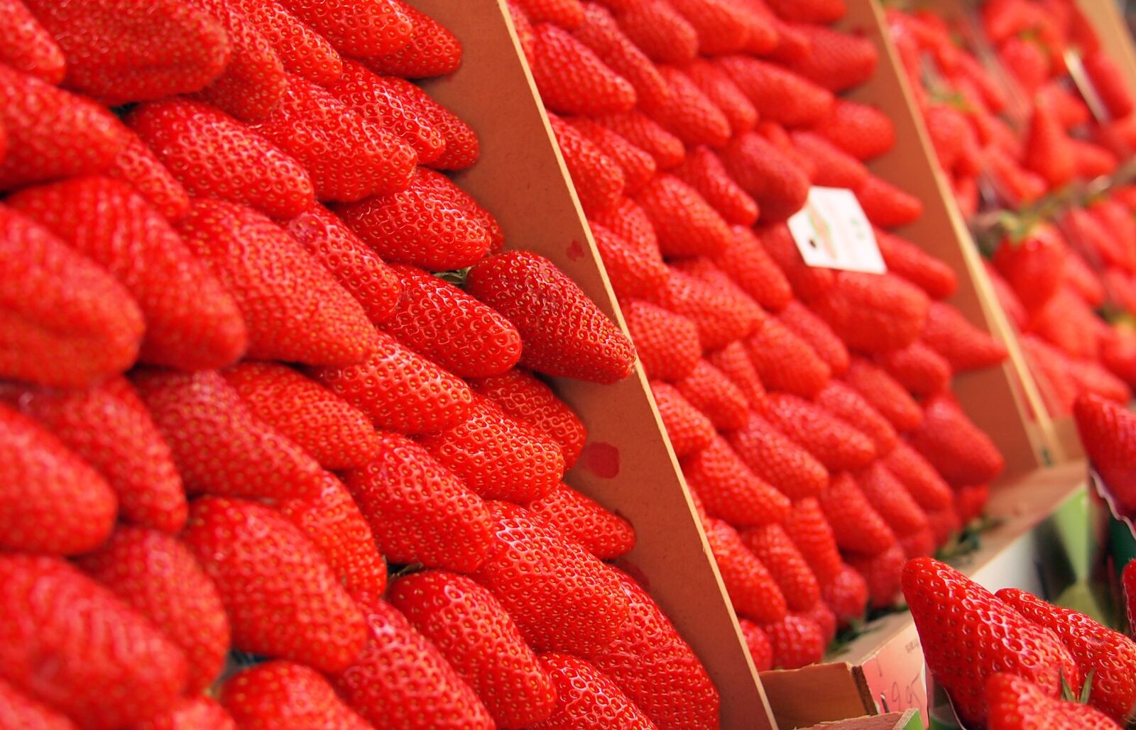 Olympus PEN E-PL1 sample photo. Red, strawberries, strawberry photography