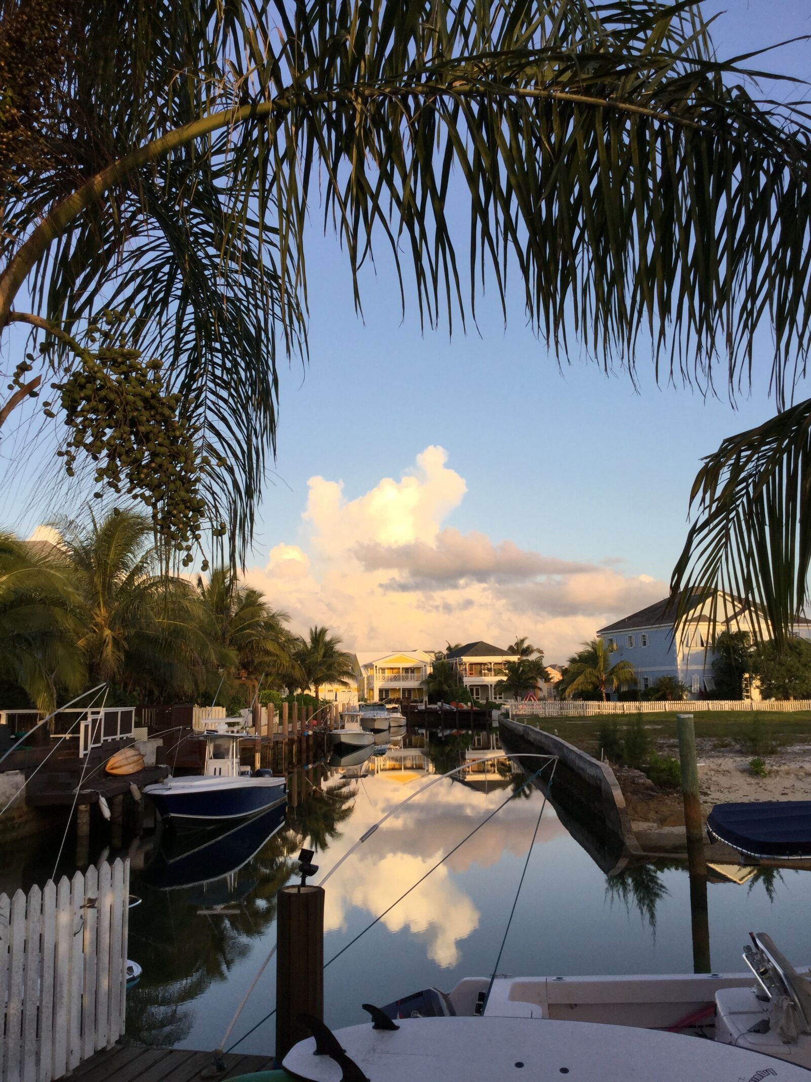Apple iPad Air 2 sample photo. Reflection, tropical, tranquil photography