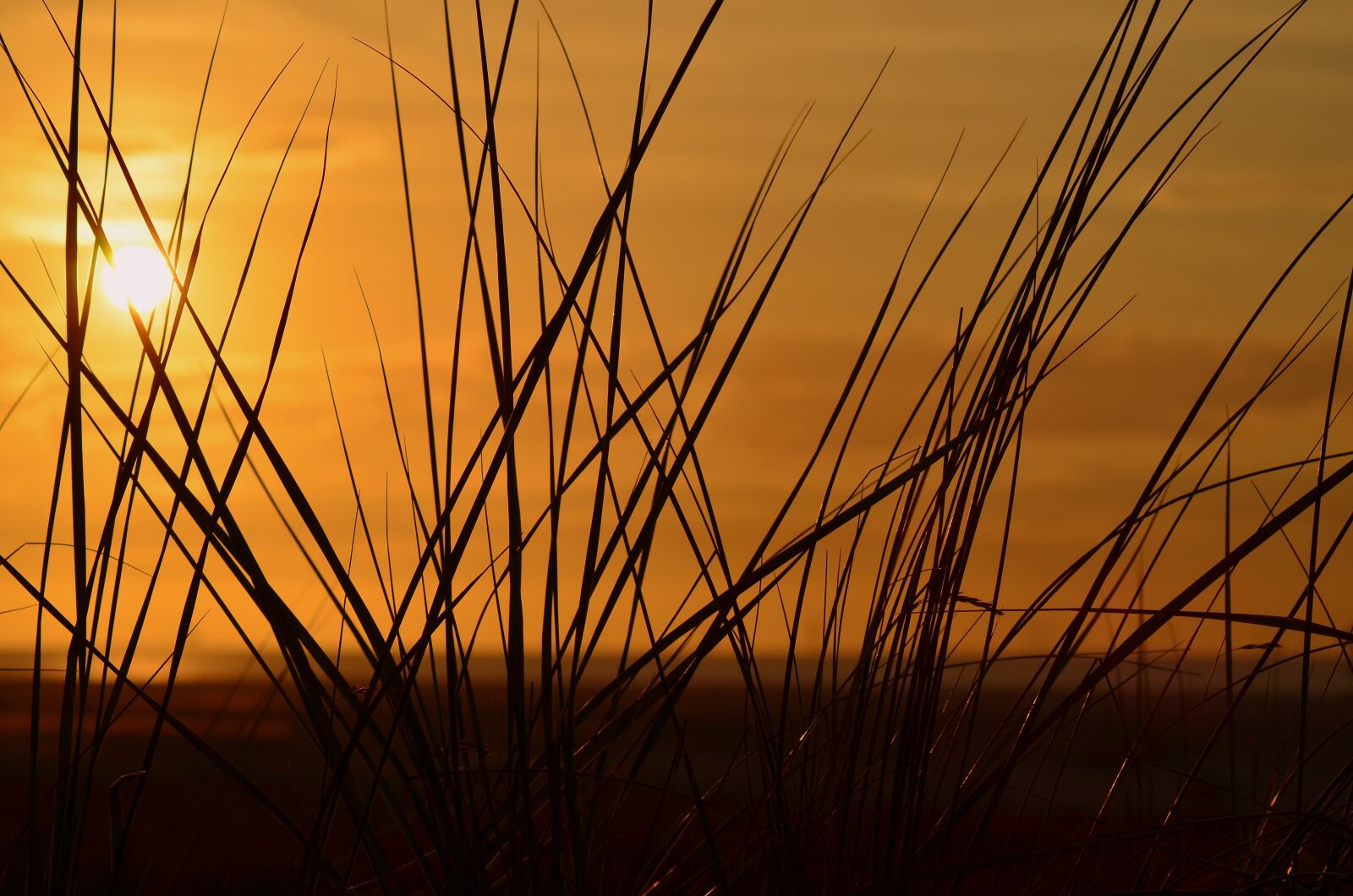 Nikon D5100 sample photo. Borkum, sunset, mood photography