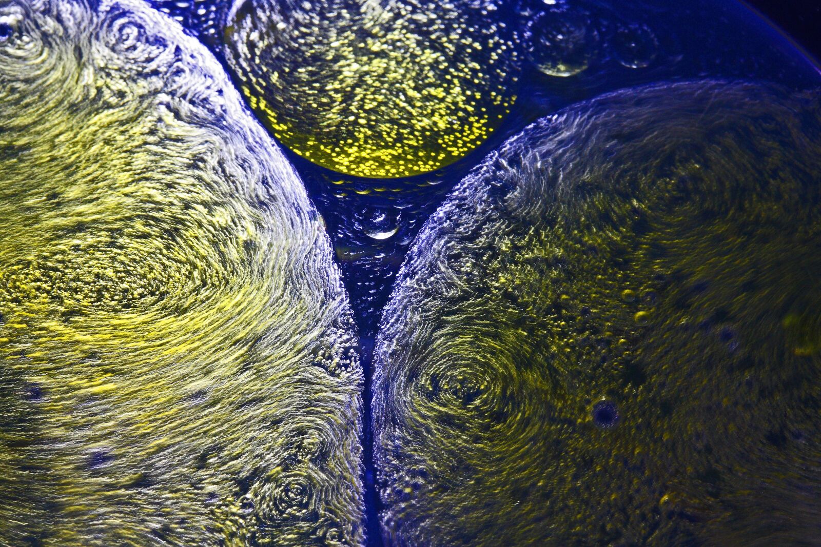 Canon EOS 40D sample photo. Abstract, colors, oil photography
