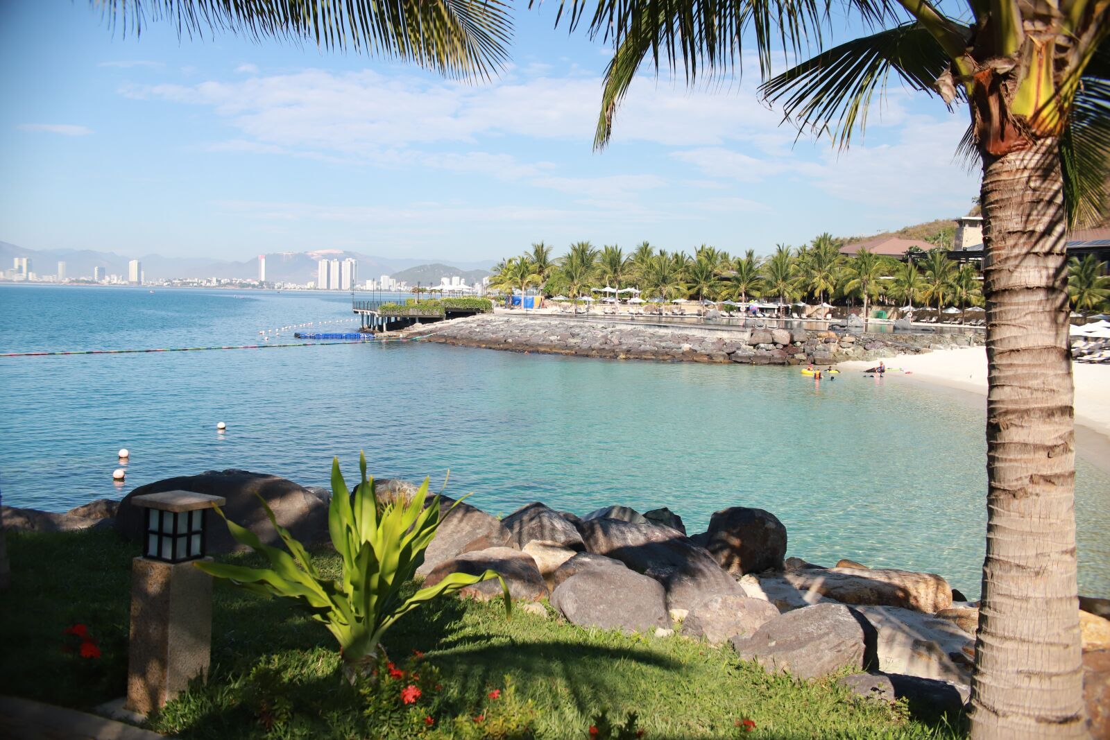 Canon EOS 6D Mark II sample photo. Sea, palm, palmtree photography