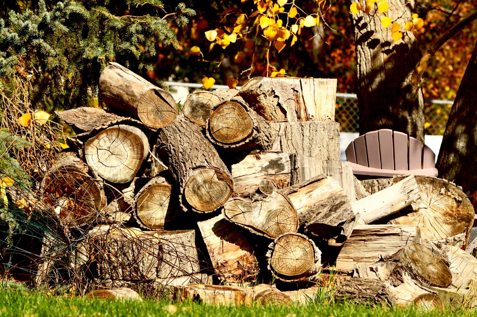 Nikon D3200 sample photo. Wood, pile, woodpile photography