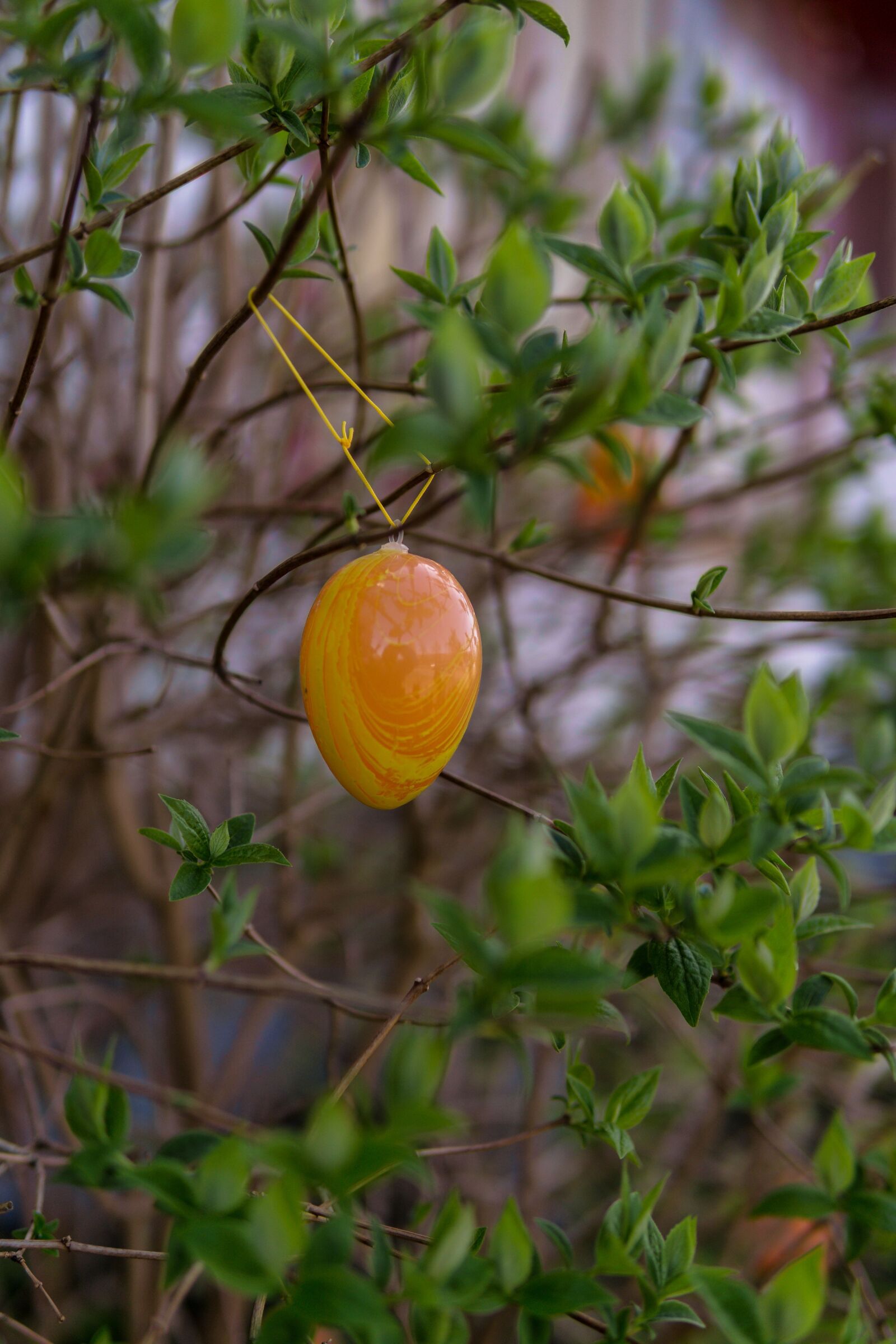 30mm F1.4 DC DN | Contemporary 016 sample photo. Bush, green, easter egg photography
