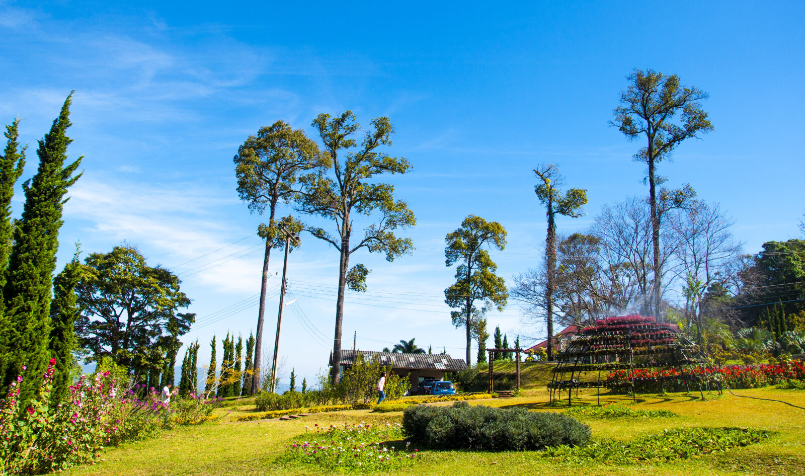 Nikon D90 sample photo. Blue, sky, garden, park photography