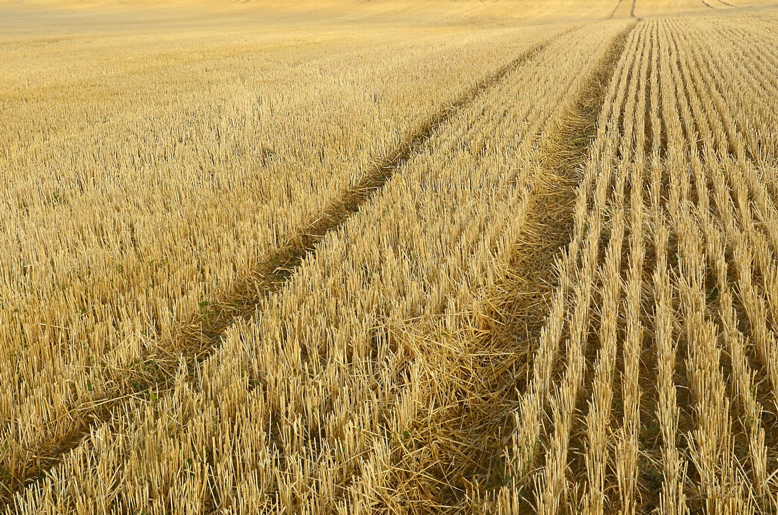 Nikon D5100 sample photo. Thatch, summer, straw photography