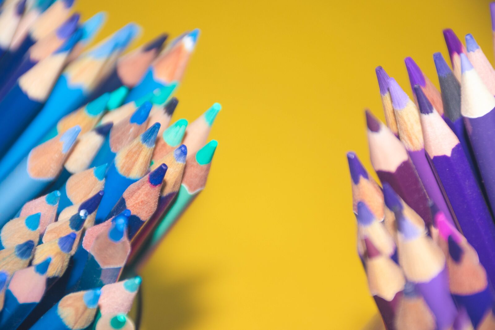 Nikon D7200 sample photo. Pencils, colorful, color photography