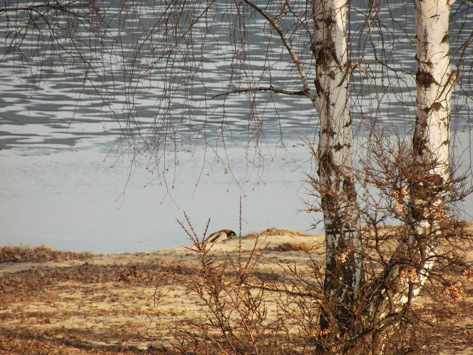 FujiFilm FinePix S2950 (FinePix S2990) sample photo. View, nature, lagoon photography