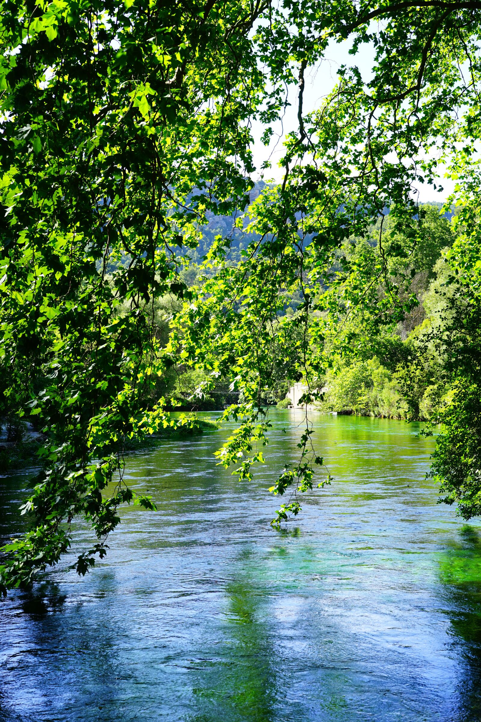 Sony a7 + Sony Sonnar T* FE 55mm F1.8 ZA sample photo. Sorgue, water, clear photography