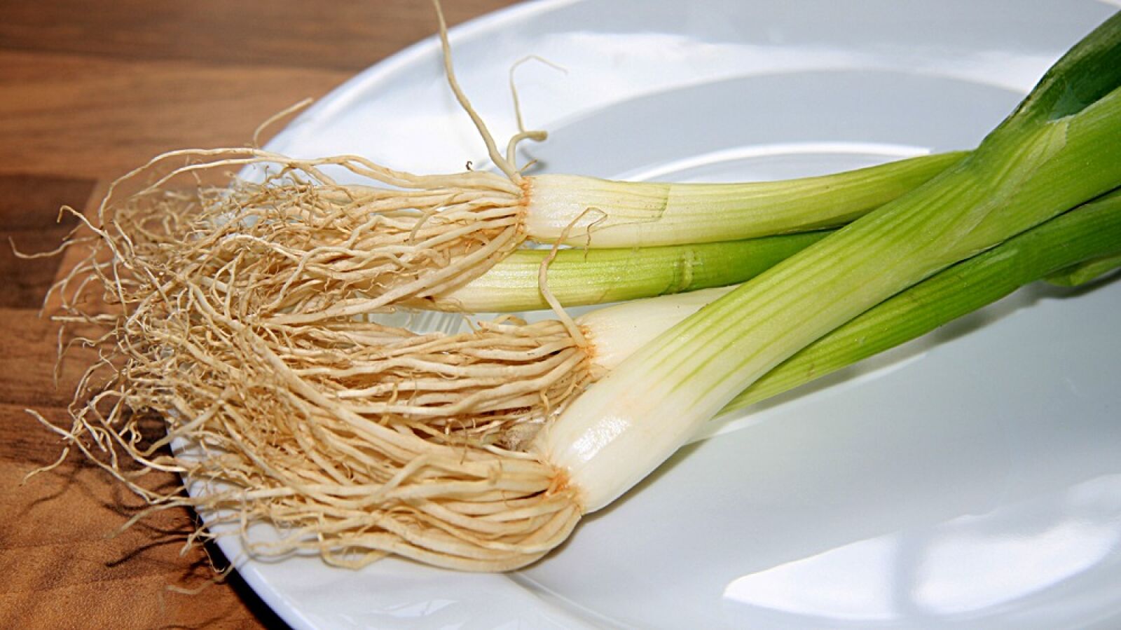 Canon EOS 40D sample photo. Spring onion, leek, onions photography