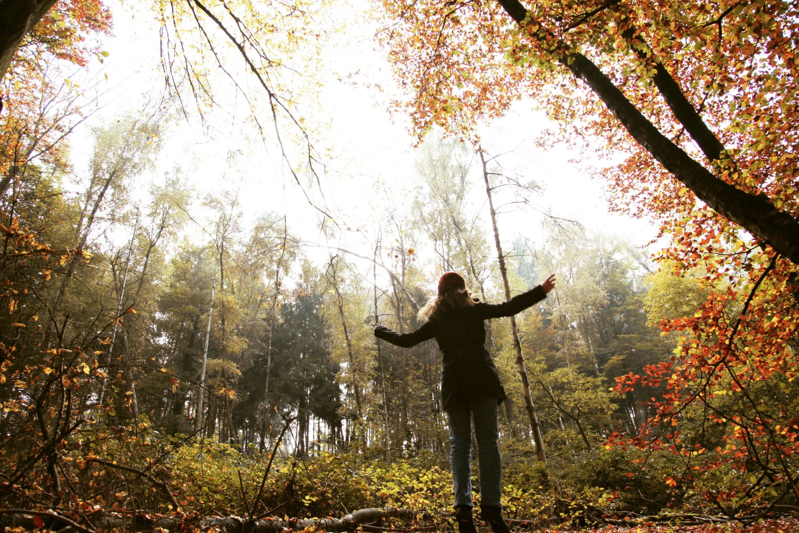 Canon EOS 5D Mark II sample photo. Fall, autumn, trees photography
