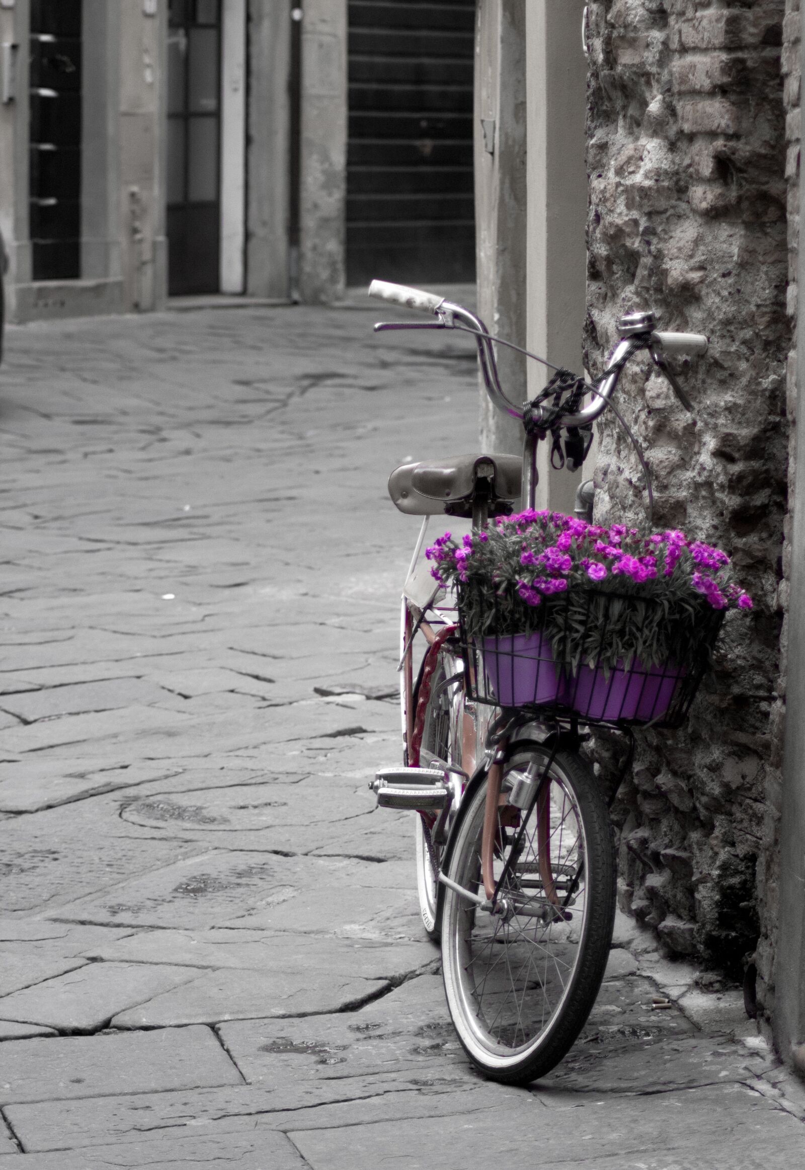 Canon EOS 600D (Rebel EOS T3i / EOS Kiss X5) sample photo. Bike, italian, scooter photography