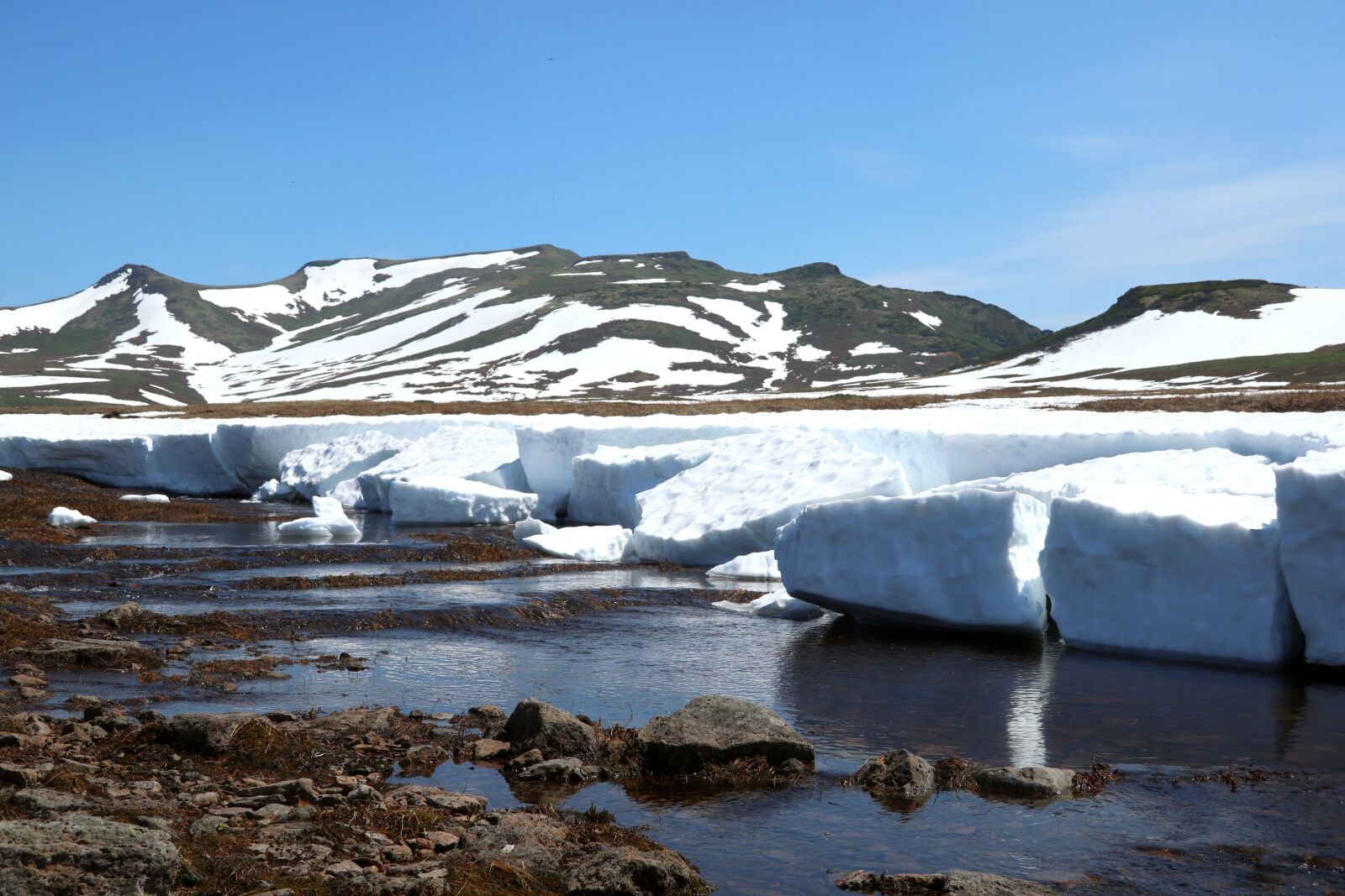 Canon PowerShot G1 X Mark III sample photo. Mountains, tundra, summer photography