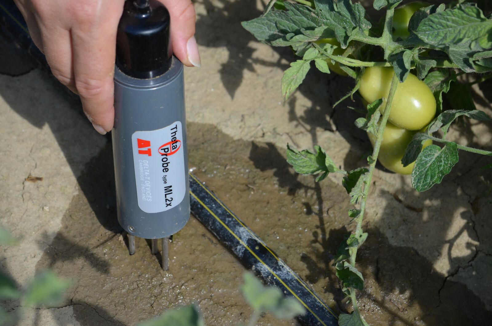 Nikon D5100 sample photo. Sensors, agriculture, irrigation photography