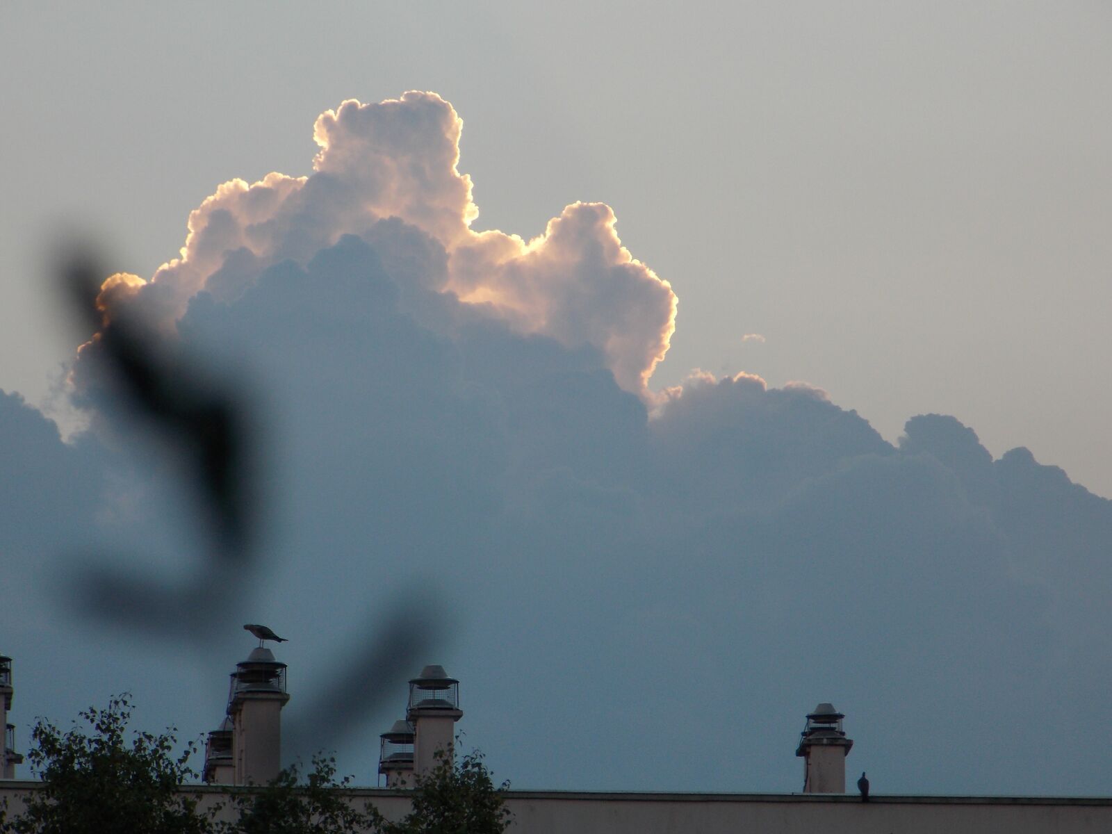 Nikon Coolpix L810 sample photo. Sky, clouds, atmosphere photography