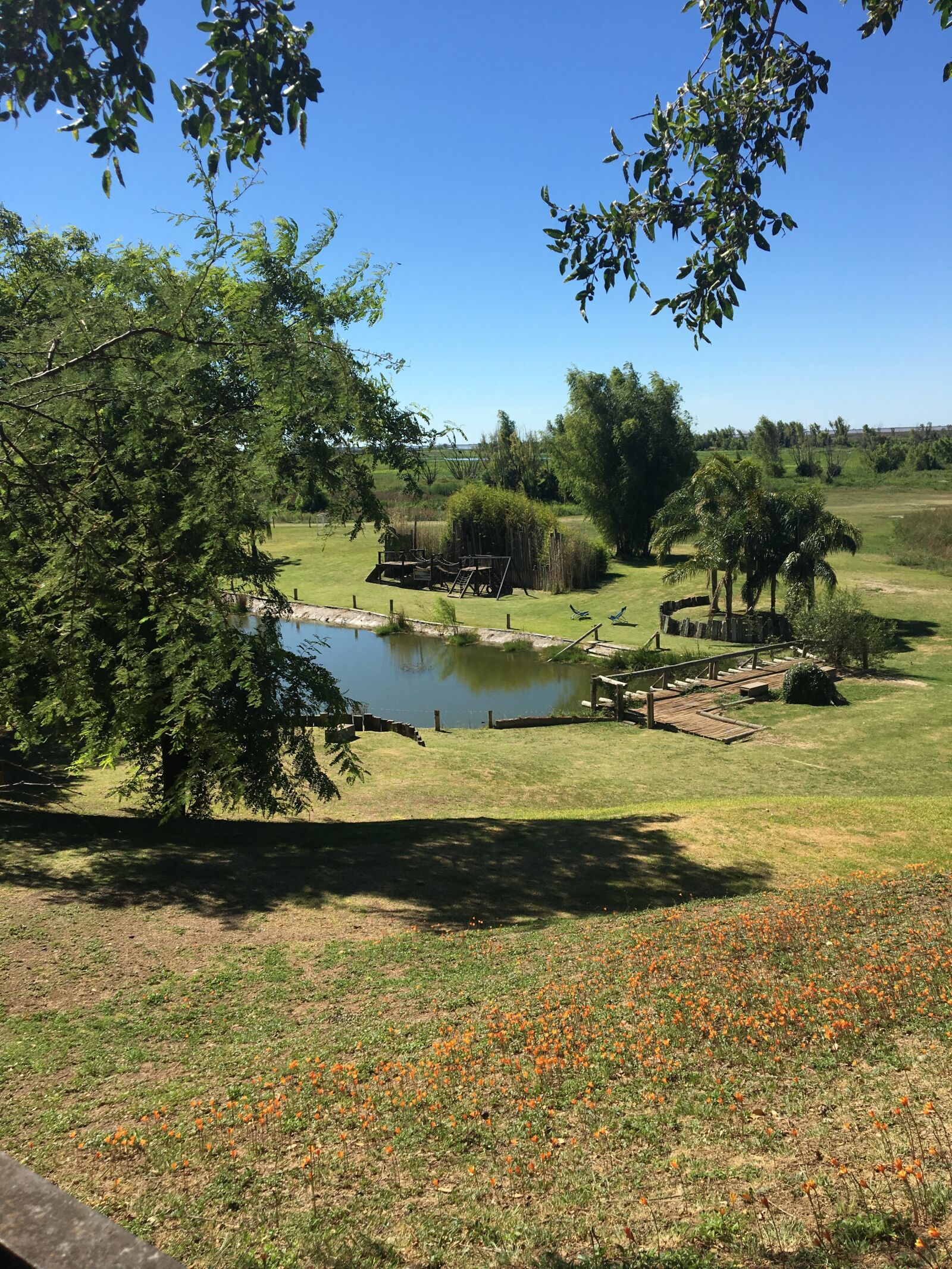 Apple iPhone 6s sample photo. Landscape, nature, field photography