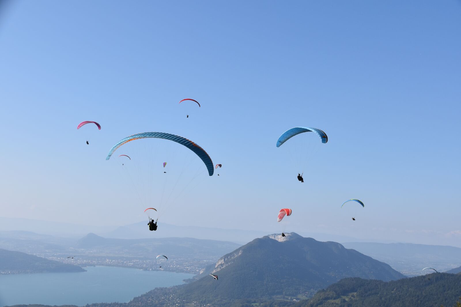 Nikon D5600 sample photo. Paragliders, sails, wings photography