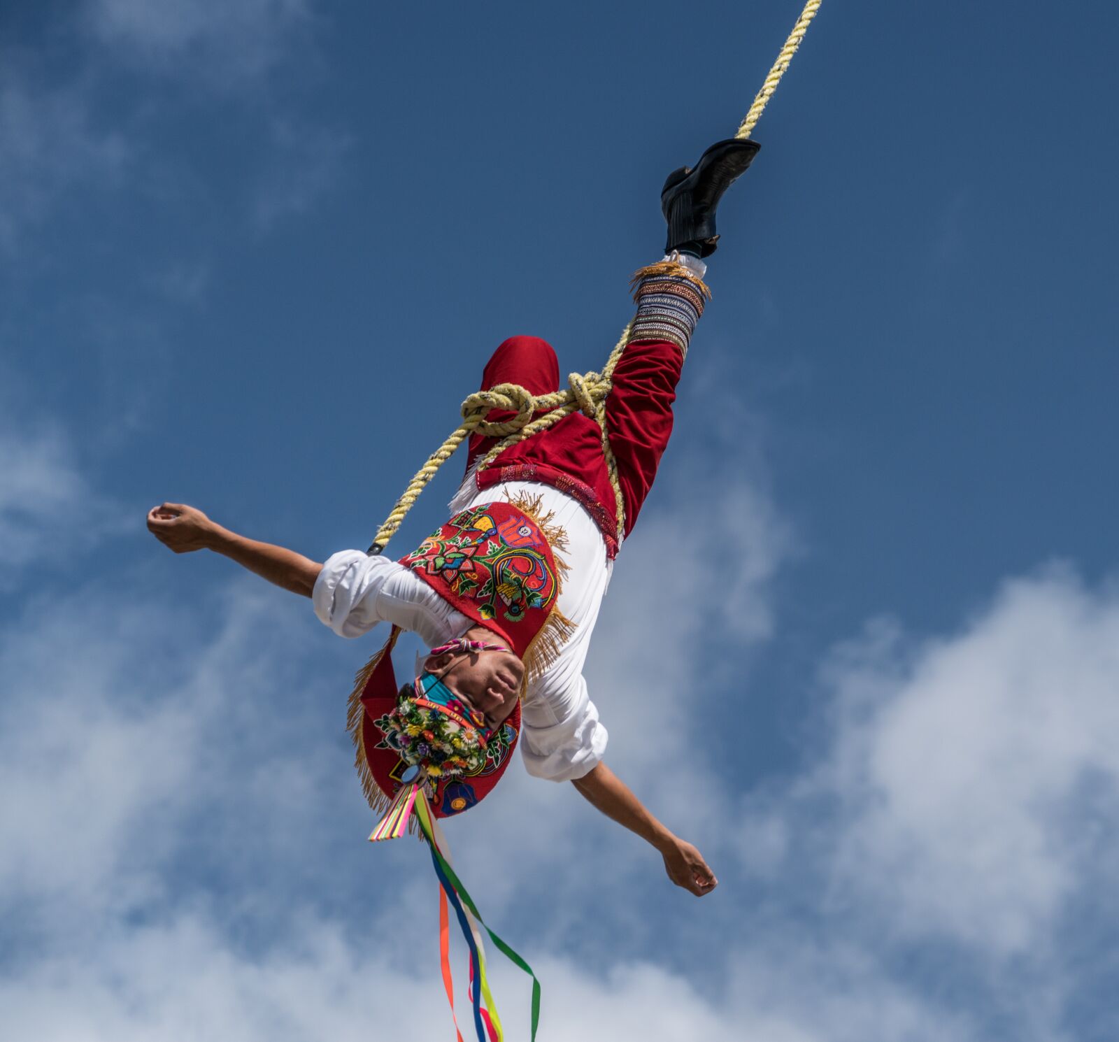 Sony a7R II + Sony FE 24-240mm F3.5-6.3 OSS sample photo. Flying acrobat, upside down photography