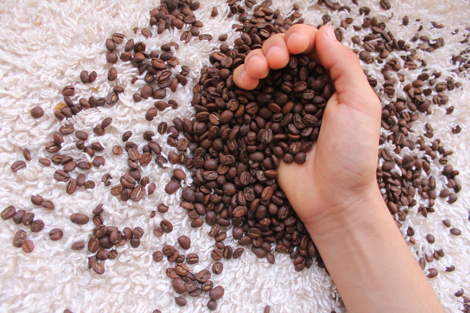 Canon EOS 60D sample photo. Coffee, drink, caffeine photography
