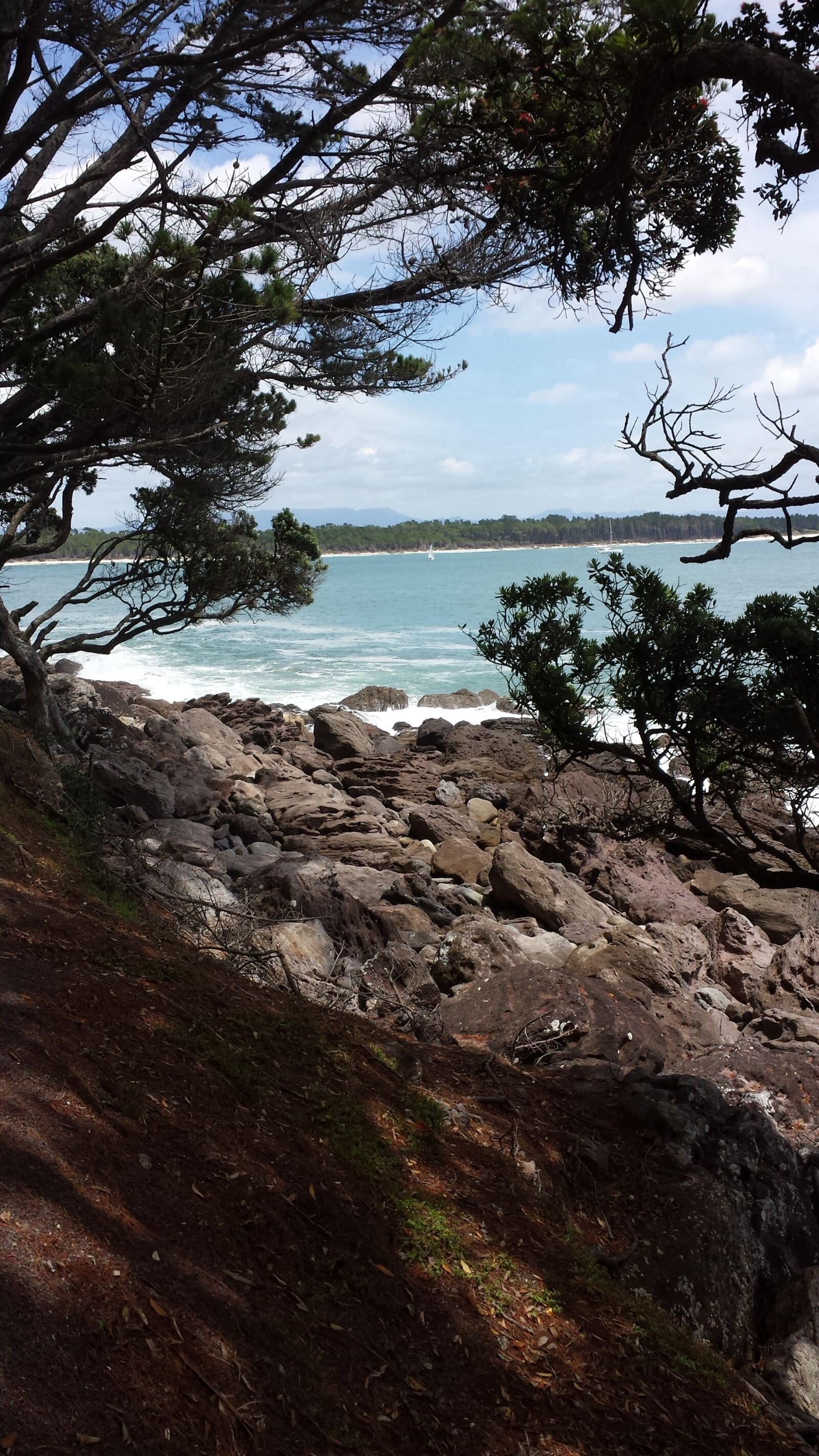 Samsung Galaxy S4 sample photo
