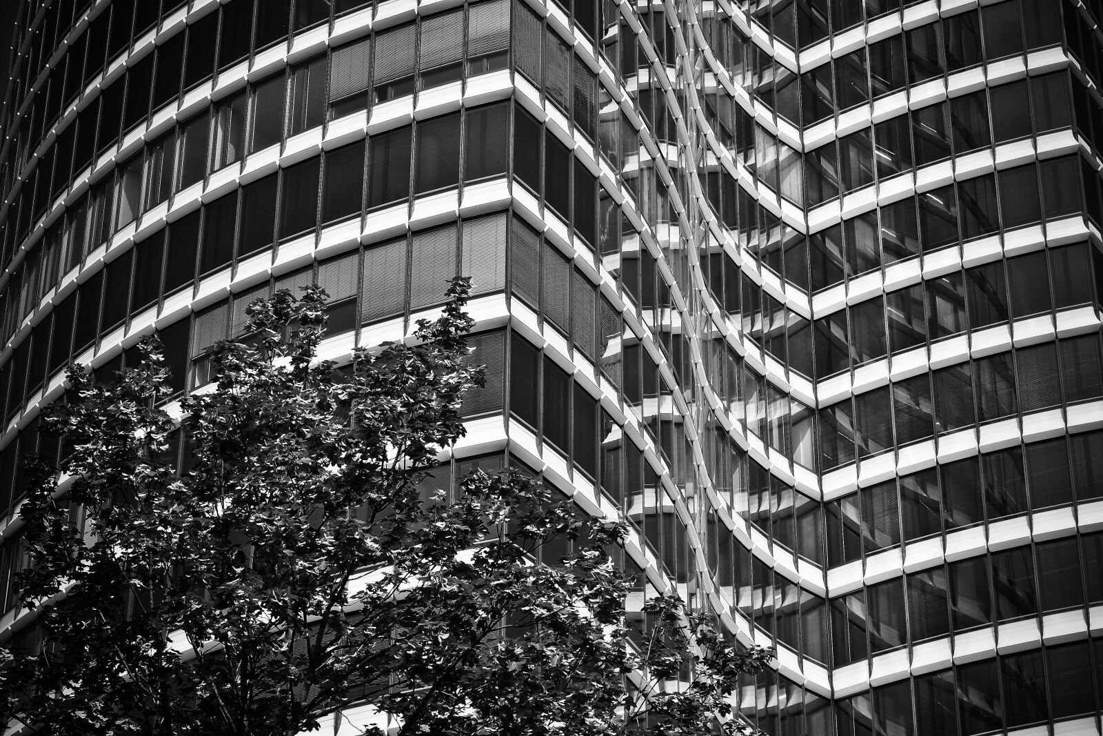 Olympus OM-D E-M10 sample photo. Architecture, modern, building photography